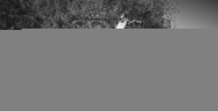 BSE Кроссовый мотоцикл BSE M4 250 21/19 кросс