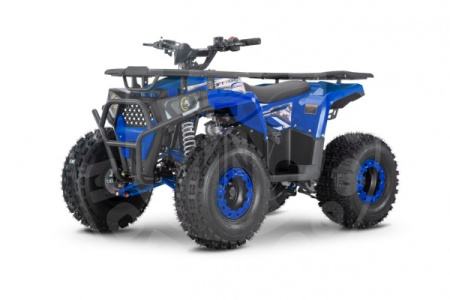 WELS Квадроцикл WELS Thunder 8 ATV125U Classic Blue