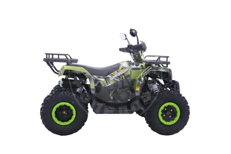 Yacota Квадроцикл YACOTA WARRIOR 200 PRO зеленый