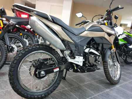 Racer Мотоцикл Racer Ranger RC300-GY8 Bronze