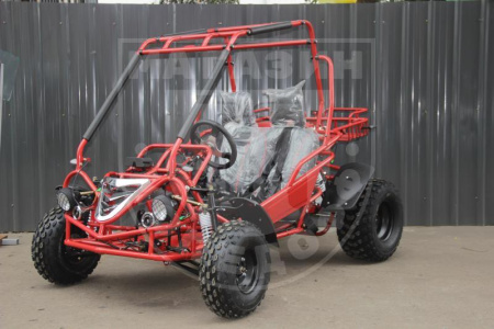 MTZ Багги 200