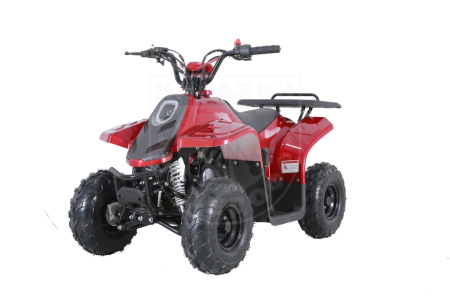 TAO motors Квадроцикл TAO 2022 ROCK110  красный