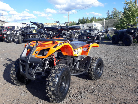 Детские Электроквадроцикл Motax Mini Grizlik Х-16 1000W
