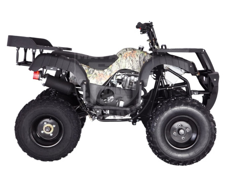 TAO motors Квадроцикл TAO RHINO 250 графити