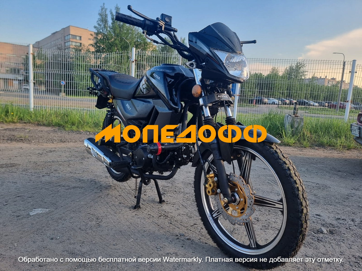 Motoland Мопед SCOUT 11 Black (Альфа)