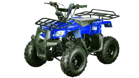 Motoland Комплект запчастей Motoland ATV 110 RIDER синий купить в Мопедофф www.9814555.ru