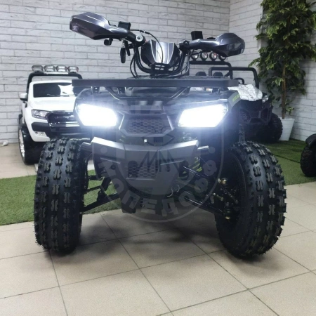 Motoland Комплект запчастей Motoland WILD 125 BASIC серый купить в Мопедофф www.9814555.ru
