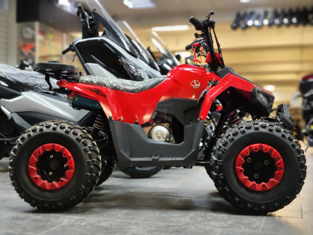Yacota Квадроцикл YACOTA RAPOSA 110cc красный