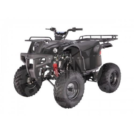 TAO motors Квадроцикл TAO BULL150 чёрный