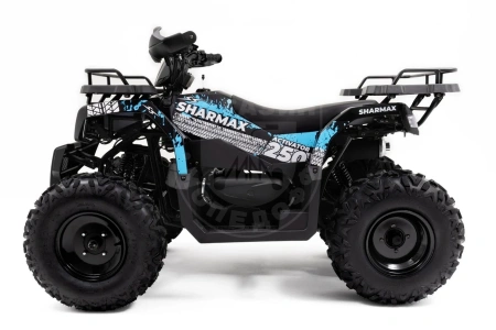 Motoland Квадроцикл MOTOLAND ATV 300 MAX X синий купить в Мопедофф www.9814555.ru