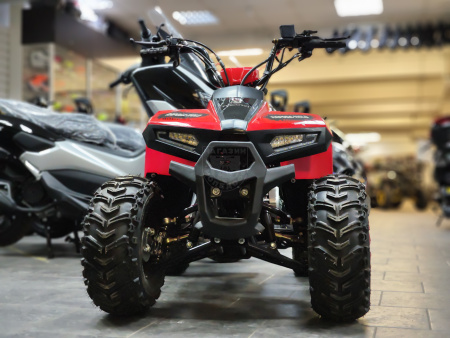 Yacota Квадроцикл YACOTA RAPOSA 110cc красный