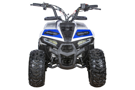 Yacota Квадроцикл YACOTA RAPOSA 110cc белый