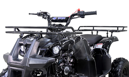 TAO motors Квадроцикл TAO D125 (ATA125D) чёрный паук