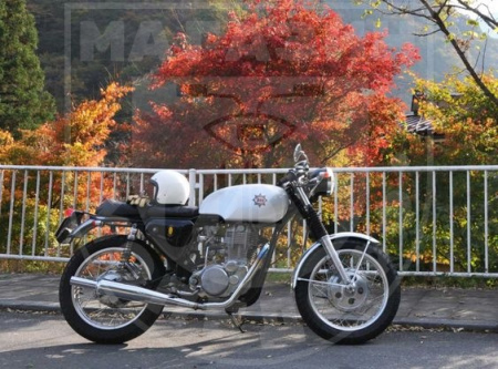LIFAN Мопед Alpha L8  gray