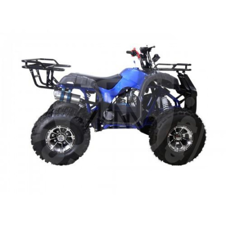 TAO motors Квадроцикл TAO NEW T-FORCE синий