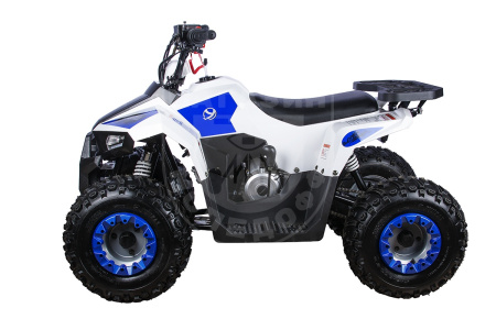 Yacota Квадроцикл YACOTA RAPOSA 110cc синий