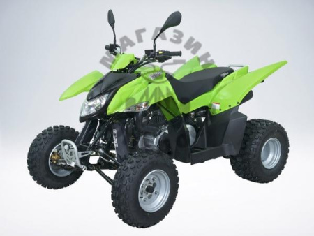 SYM Квадроцикл QuadRaider 300 SS (green) (Квадроцикл QuadRaider 300 белый зависимая подвеска)