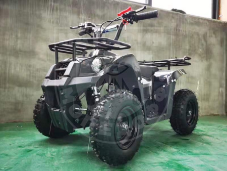 MOTAX MOTAX ATV BASIC Х16 Черный