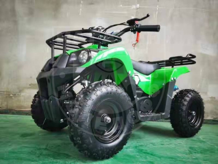 MOTAX MOTAX ATV BASIC Х16 E-START Зеленый