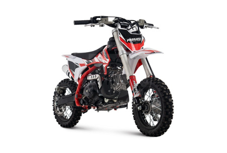 PROGASI Питбайк PROGASI KIDS POWER 110 12/10