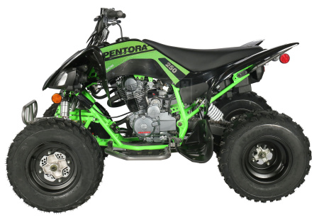 Apollo Квадроцикл Apollo PENTORA 250 зелёный