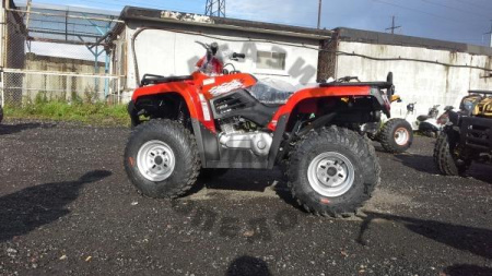 ArmadA Квадроцикл ATV 200L ARMADA (Loncin)