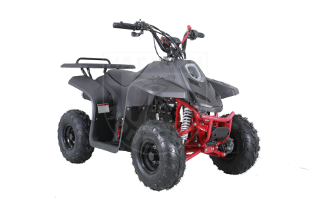 TAO motors Квадроцикл TAO 2022 ROCK110  чёрный