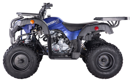 Apollo Квадроцикл Apollo PENTORA 250 С РУЧНЫМ СЦЕПЛЕНИЕМ синий