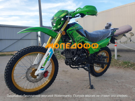 мотоцикл Roliz 005 disk green 172fmm