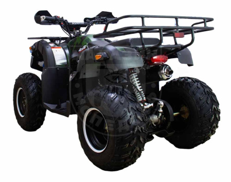 ATV Квадроцикл ATV CLASSIC 200 LUX