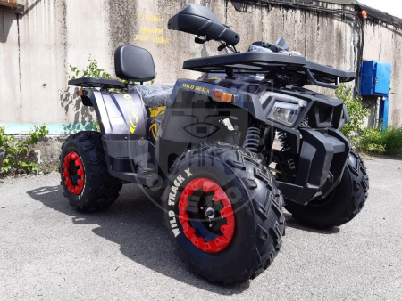 Motoland Комплект запчастей Motoland WILD TRACK X  200 купить в Мопедофф www.9814555.ru