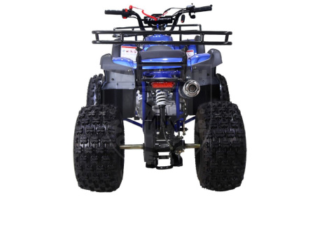 TAO motors Квадроцикл TAO NEW T-FORCE синий