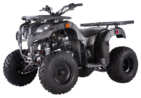 Apollo Квадроцикл Apollo PENTORA 250 С РУЧНЫМ СЦЕПЛЕНИЕМ серый