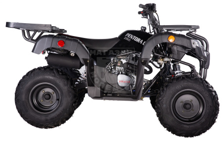 Apollo Квадроцикл Apollo PENTORA 250 С РУЧНЫМ СЦЕПЛЕНИЕМ чёрный