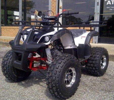 TAO motors Квадроцикл NEW TFORCE ATV125