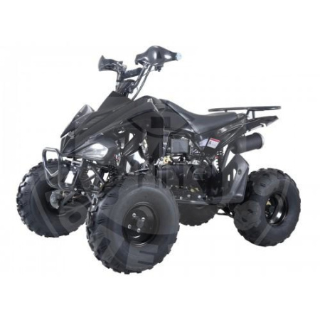 TAO motors Квадроцикл TAO ATA150G чёрный
