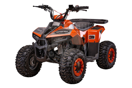 Yacota Квадроцикл YACOTA RAPOSA 110cc оранжевый
