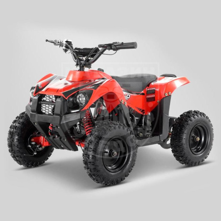 AVANTIS КВАДРОЦИКЛ APOLLO RFZ E-KING KONG 1000W Красный