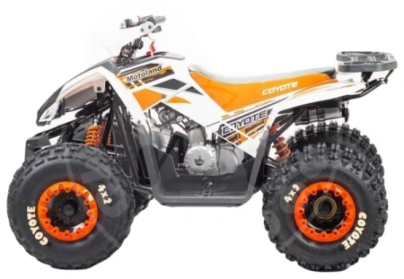 Motoland Квадроцикл MOTOLAND 125 COYOTE PRO orange купить в Мопедофф www.9814555.ru