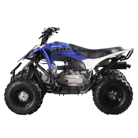 Mikilon Квадроцикл Mikilon Pentora 110L
