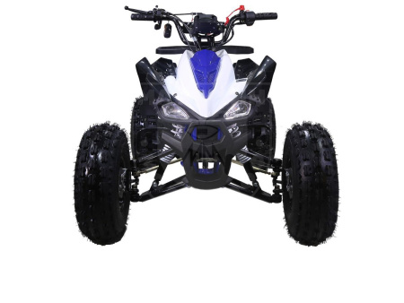 TAO motors Квадроцикл TAO New CHEETAH синий