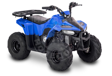 Детские Квадроцикл Tao Motor 110 Mudhawk Blue