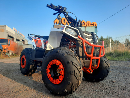 WELS Квадроцикл WELS THUNDER EVO M 110 w
