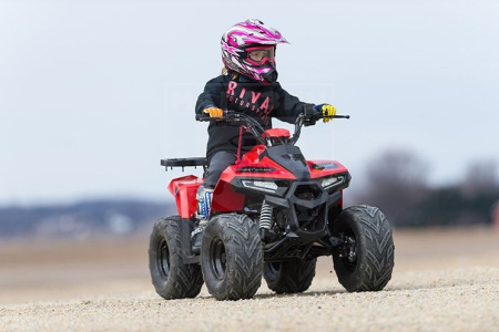 TAO motors Квадроцикл TAO MUDHAWK 6 красный