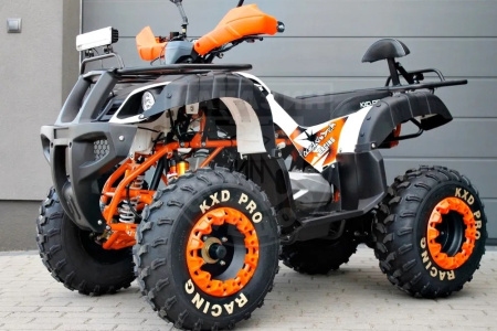 TAO motors Квадроцикл Tao Tech ATV 200