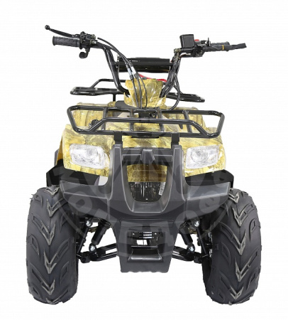 ATV КВАДРОЦИКЛ ATV ATOMIK TT