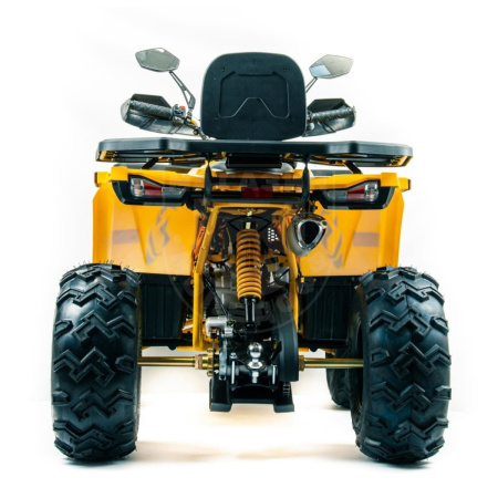 Motoland Квадроцикл MOTOLAND ATV 200 WILD TRACK X WINCH желтый купить в Мопедофф www.9814555.ru