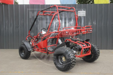 MTZ Багги 200