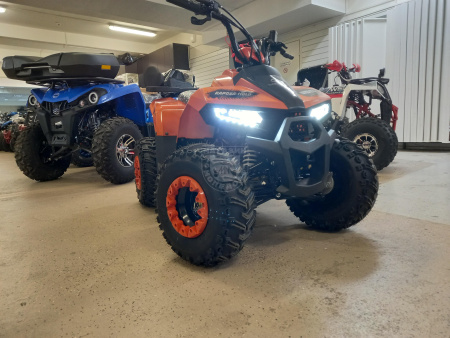 Yacota Квадроцикл Yacota RAPOSA 110cc 4т