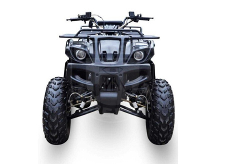 WELS Квадроцикл WELS LX150 Black